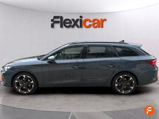 Cupra León SP 1.5 eTSI 110kW (150CV) DSG