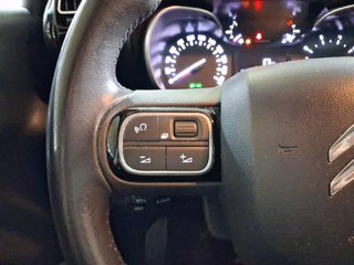 Citroen C3 Aircross BlueHDi 73kW (100CV) S&S SHINE