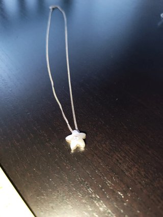 Colgante estrella con cadena plata ley 925