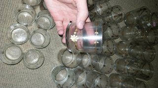 Juego de 24 vasos de cristal tallados pintados oro