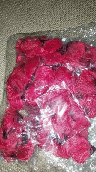 Plumas decorativas y petalos rosa en tela