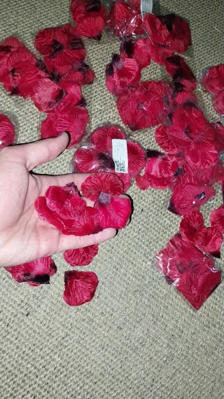 Plumas decorativas y petalos rosa en tela