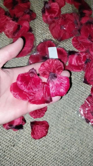 Plumas decorativas y petalos rosa en tela