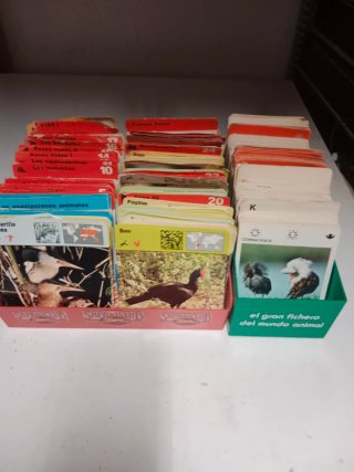 Lote todo lo que ves recetas de cocina y animales