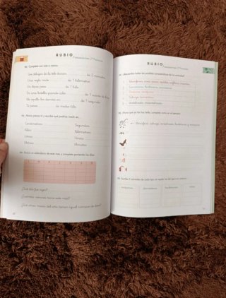 Cuaderno de vacaciones Rubio 2 primaria