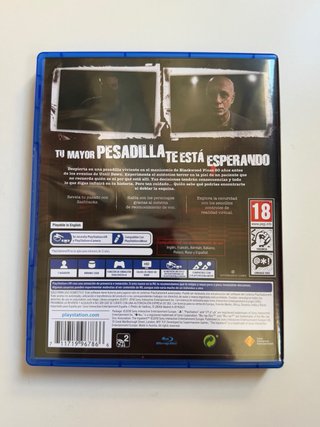 The Inpatient PS4 (PlayStation 4) VR Requerido