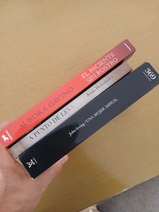 3 libros novelas, hernandez, john irving, gavino