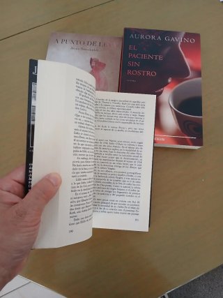 3 libros novelas, hernandez, john irving, gavino