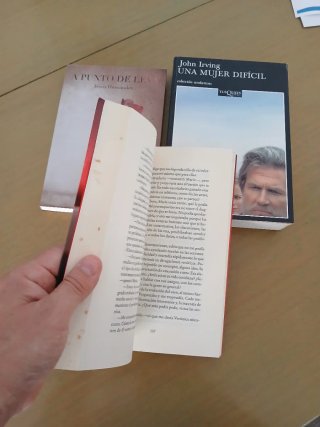 3 libros novelas, hernandez, john irving, gavino