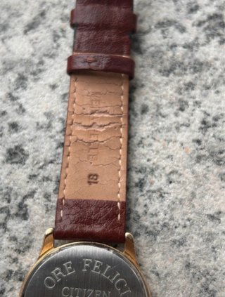 Orologio Citizen Uomo Pelle Marrone