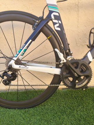 Bicicleta Liv Envie Advanced Carbono.