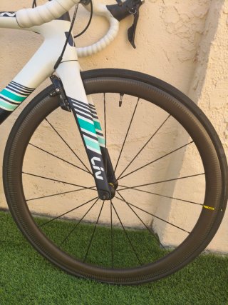 Bicicleta Liv Envie Advanced Carbono.