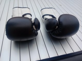Guantes de boxeo Westle  8 oz