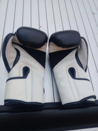 Guantes de boxeo Westle  8 oz