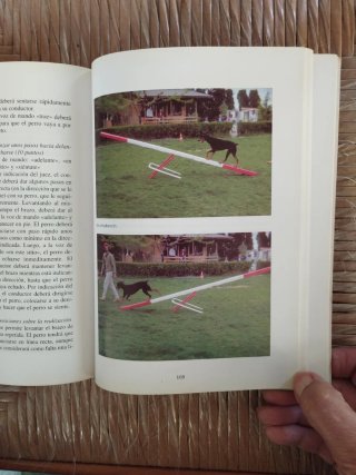 El nuevo libro del dobermann