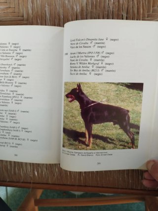 El nuevo libro del dobermann