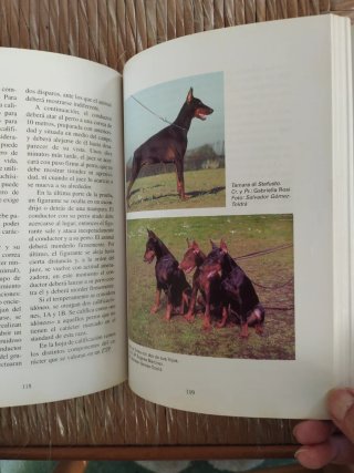 El nuevo libro del dobermann