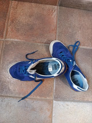Zapatillas Munich Fútbol Sala Talla 43