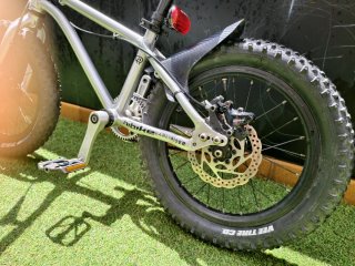 Bicicleta Early Rider 16 pulgadas