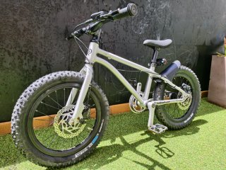 Bicicleta Early Rider 16 pulgadas