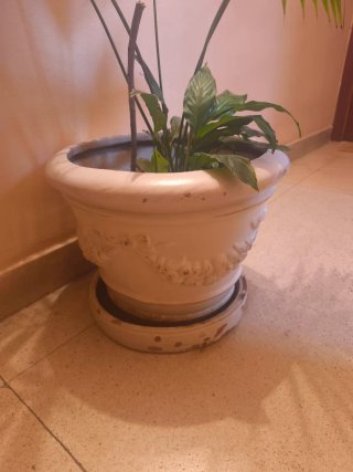Macetero Guardarte Beige/Blanco