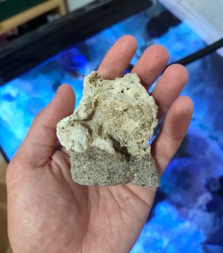 Coralero/Frag rack Magnético Acuario Marino