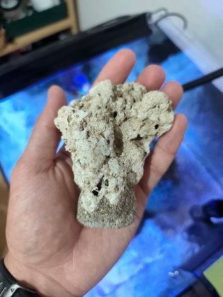 Coralero/Frag rack Magnético Acuario Marino