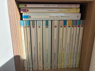Las 100 joyas del milenio. Biblioteca el mundo