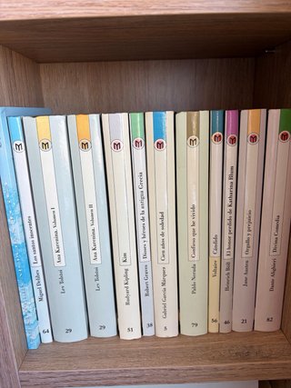 Las 100 joyas del milenio. Biblioteca el mundo