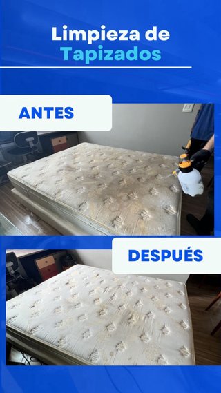limpieza de sofás y tapicerías