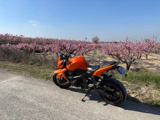 Kawasaki Z750 Naranja y Negra
