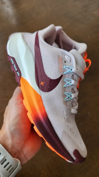 Nike Pegasus Trail 5 Zapatillas Running