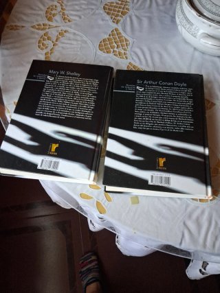 2 libros grandes de tapa dura