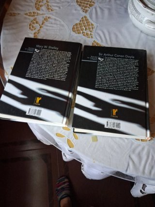 2 libros grandes de tapa dura