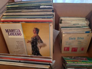 Lote Vinilos Flamenco, Pop, Latino
