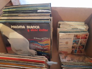 Lote Vinilos Flamenco, Pop, Latino