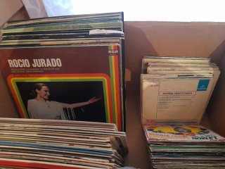 Lote Vinilos Flamenco, Pop, Latino