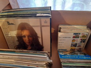 Lote Vinilos Flamenco, Pop, Latino