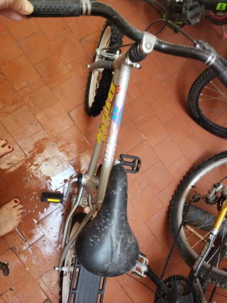 Bicicleta infantil plateada
