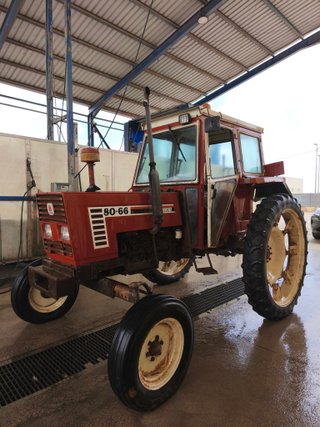 FIAT 80/66 1992