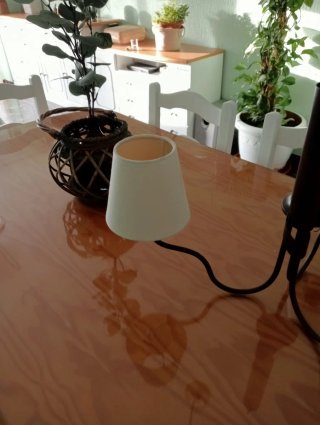 Dos Lámparas de techo colgante