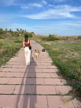 CUIDADORA DE PERROS Y GATOS