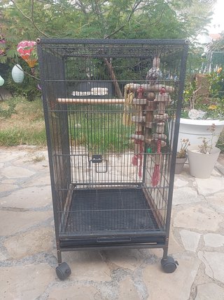 Jaula grande para loro ..entrega en mano..