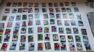 Cartas Panini Mundial Intercambio