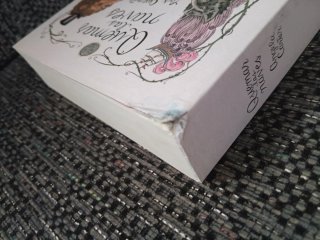 Angela Carter. Quemar las naves