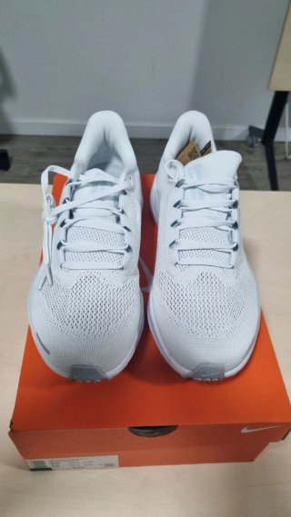 Zapatillas Nike Pegasus 41.