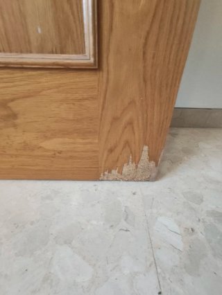 Puerta madera maciza con manilla dorada