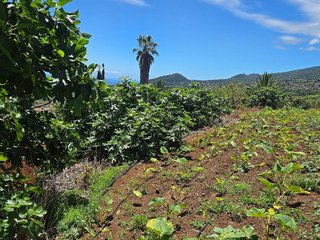 Terreno en venta en Breña Alta