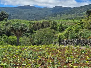 Terreno en venta en Breña Alta
