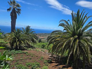 Terreno en venta en Breña Alta
